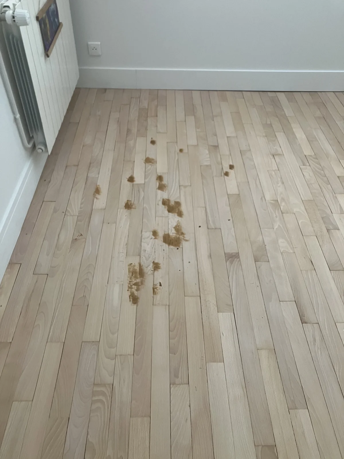 Les taches ocre sont de la pâte à bois : trous et éclats rebouchés un par un, toujours avant la vitrification. Clamart (92140).